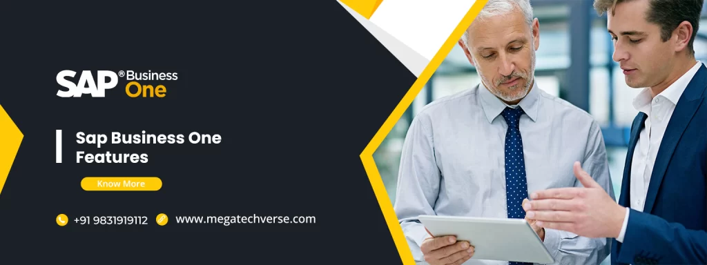 sap-business-one-features
