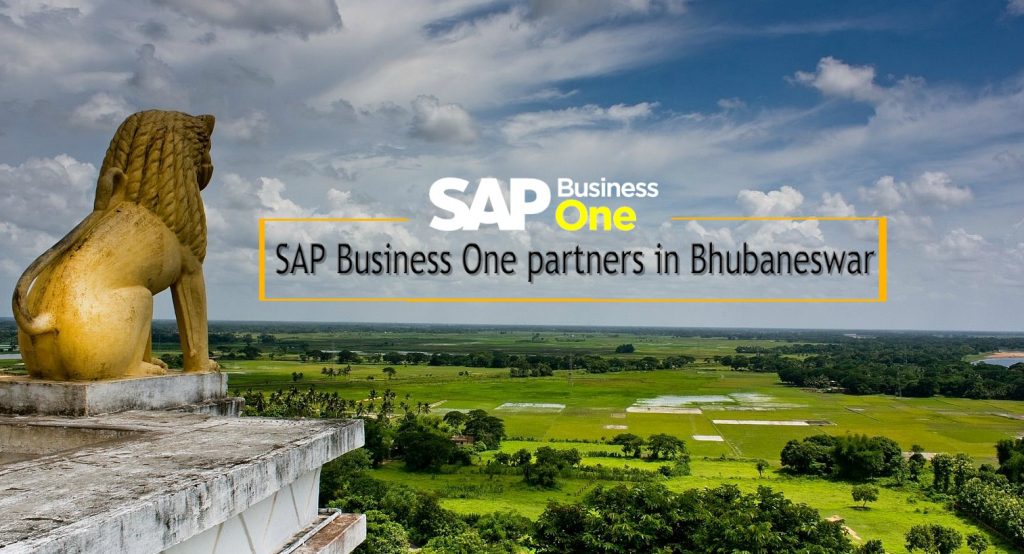 sap-b1-partners-bhuneswar