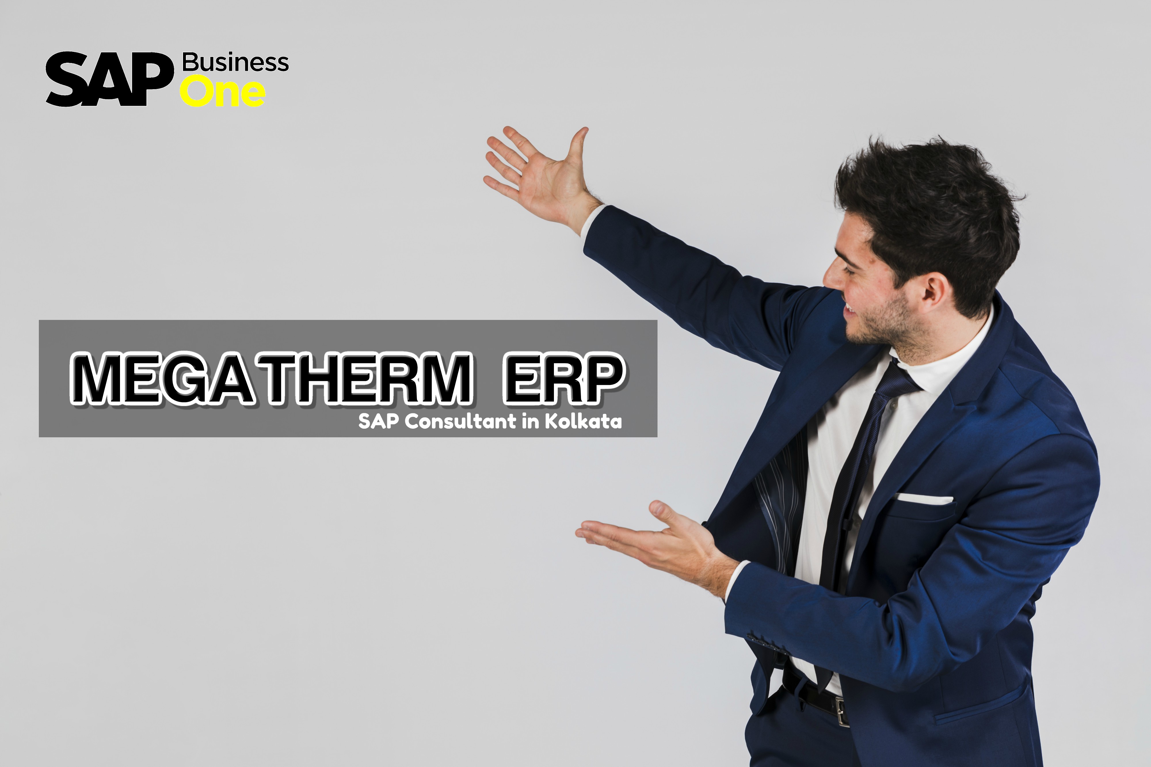 sap-consultant-kolkata