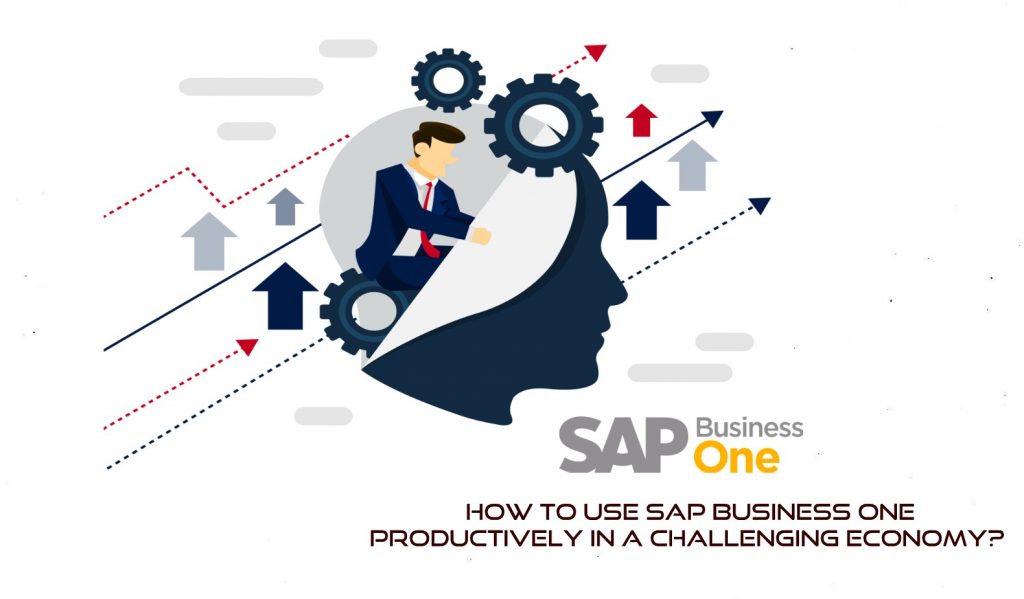 How to use SAP Business One productively in a Challenging Economy?