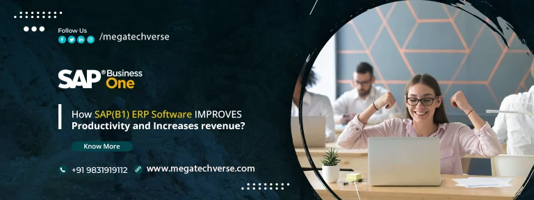 How SAP(B1) ERP Software IMPROVES Productivity and Increases revenue ...