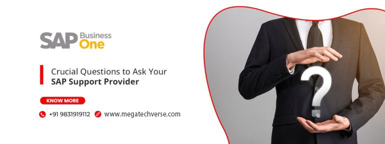 Crucial Questions to Ask Your SAP Support Provider
