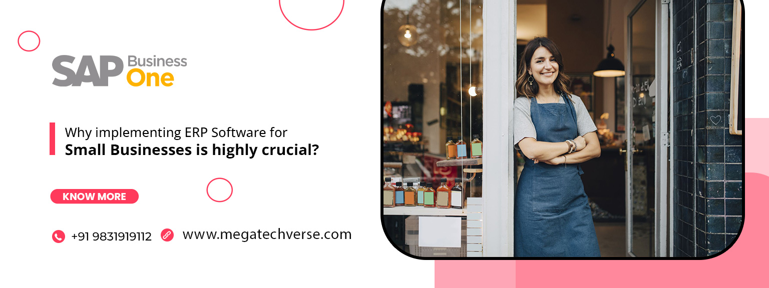 implementing ERP Software for Small Businesses is highly crucial