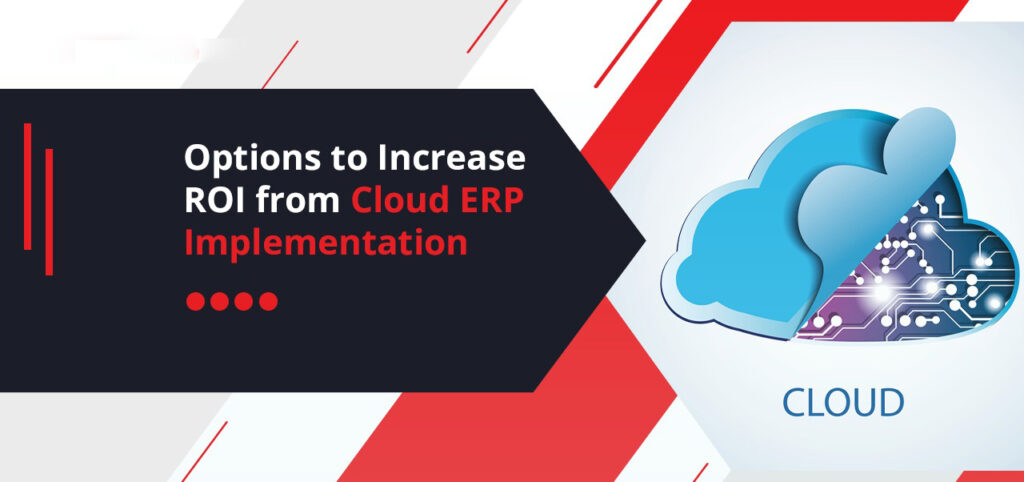 Options to Increase ROI from Cloud ERP Implementation