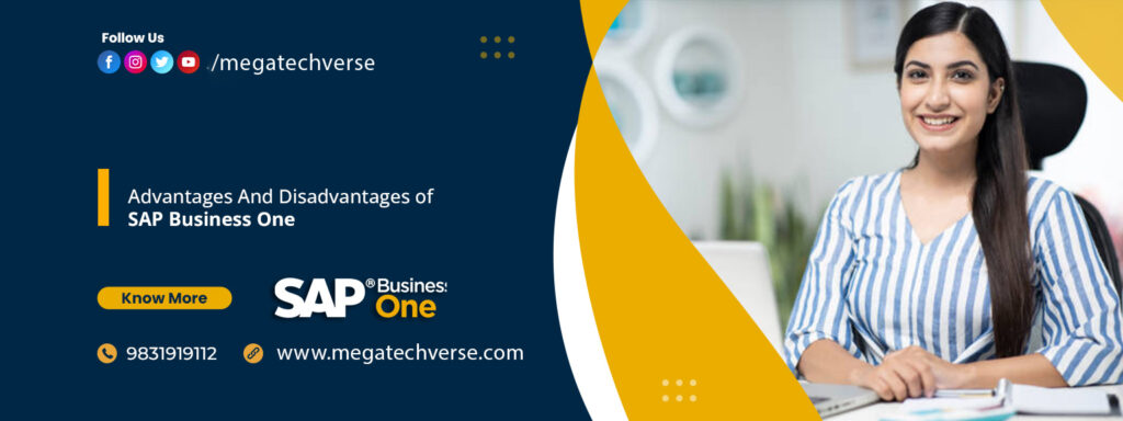 Advantages And Disadvantages of SAP Business